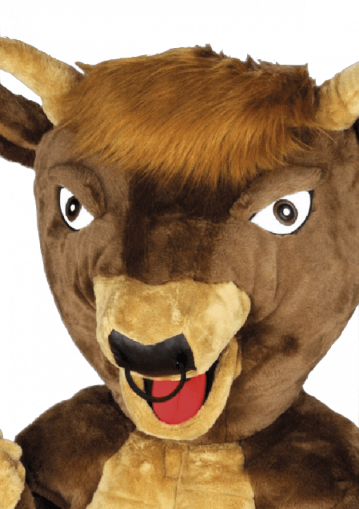 Stierenpak - Hercules de Stier - Afbeelding 2