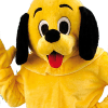 Hondenpak - Jowy de Hond - Afbeelding 2