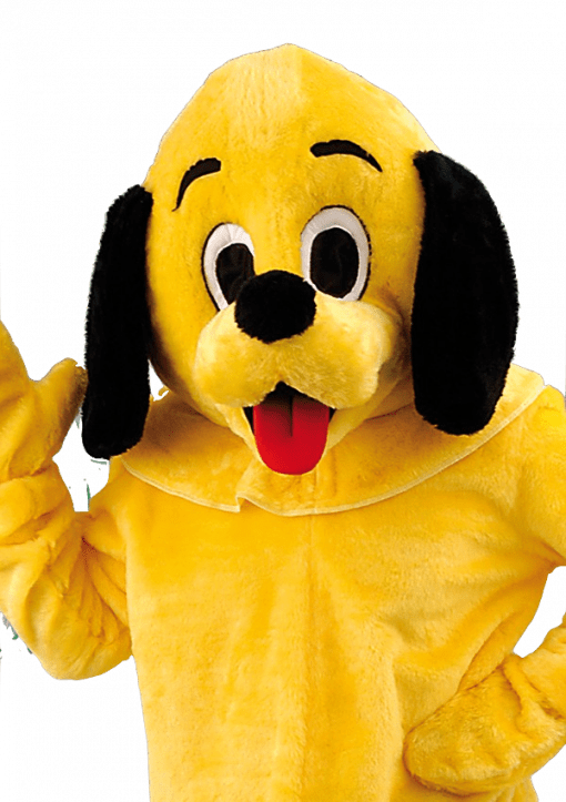 Hondenpak - Jowy de Hond - Afbeelding 2
