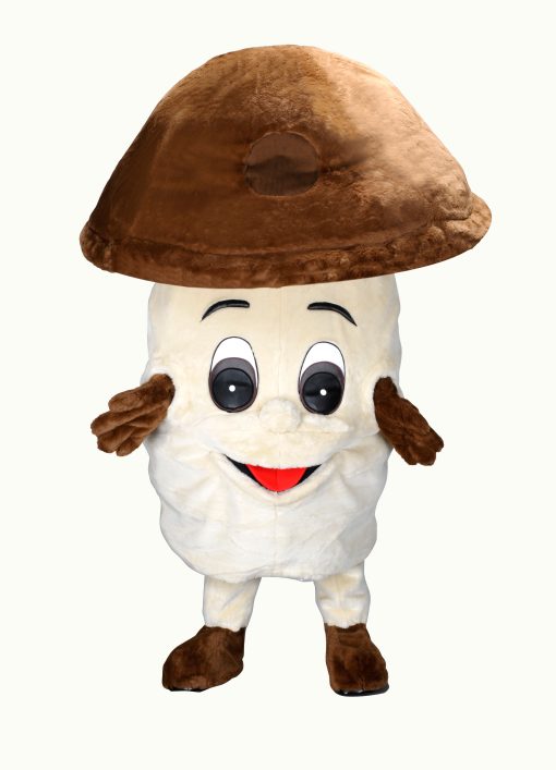 Champignonpak - Champ de Champignon